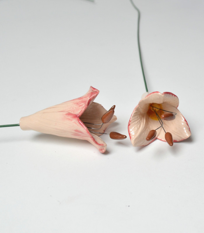 Liliomlfehér
